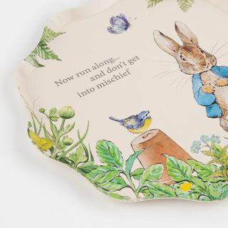 Peter Rabbit In The Garden Side Plates - BAM Party and Events