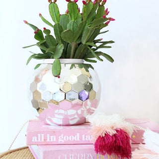 reuseable silver disco ball cup with straw used as a disco pot plant