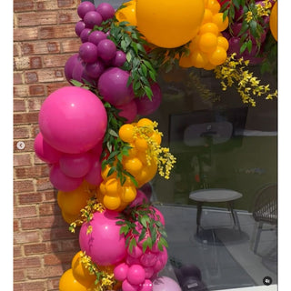 60cm Latex Balloon - Fuchsia - BAM Party and Events