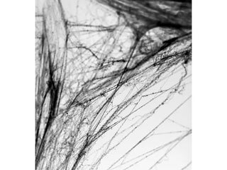 Black Spiderweb - BAM Party and Events