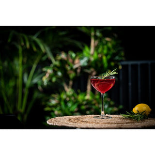 Espresso Martini Glass Set (Set of 4) - BAM Party and Events