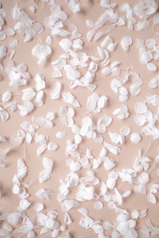 White Hydrangea Petals (25 Guests) - BAM Party and Events