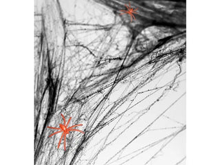 Black Spiderweb - BAM Party and Events