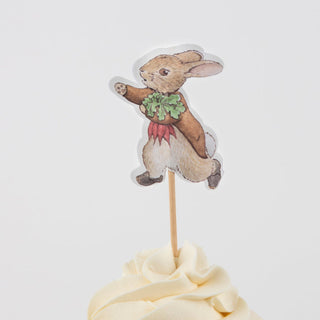 Peter Rabbit In The Garden Cupcake Kit