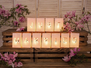 Just Married Lantern/Candle Bags