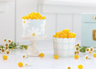 Spring Daisies Baking Cups