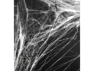 White Spiderweb